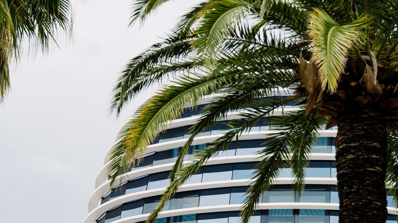 Immeuble de bureaux moderne avec palmier à Nice pour illustrer la location de bureaux